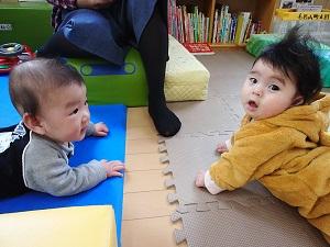2人の可愛い赤ちゃんのハイハイ姿の写真