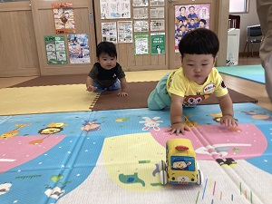 車を追いかけはいはいする乳児たち