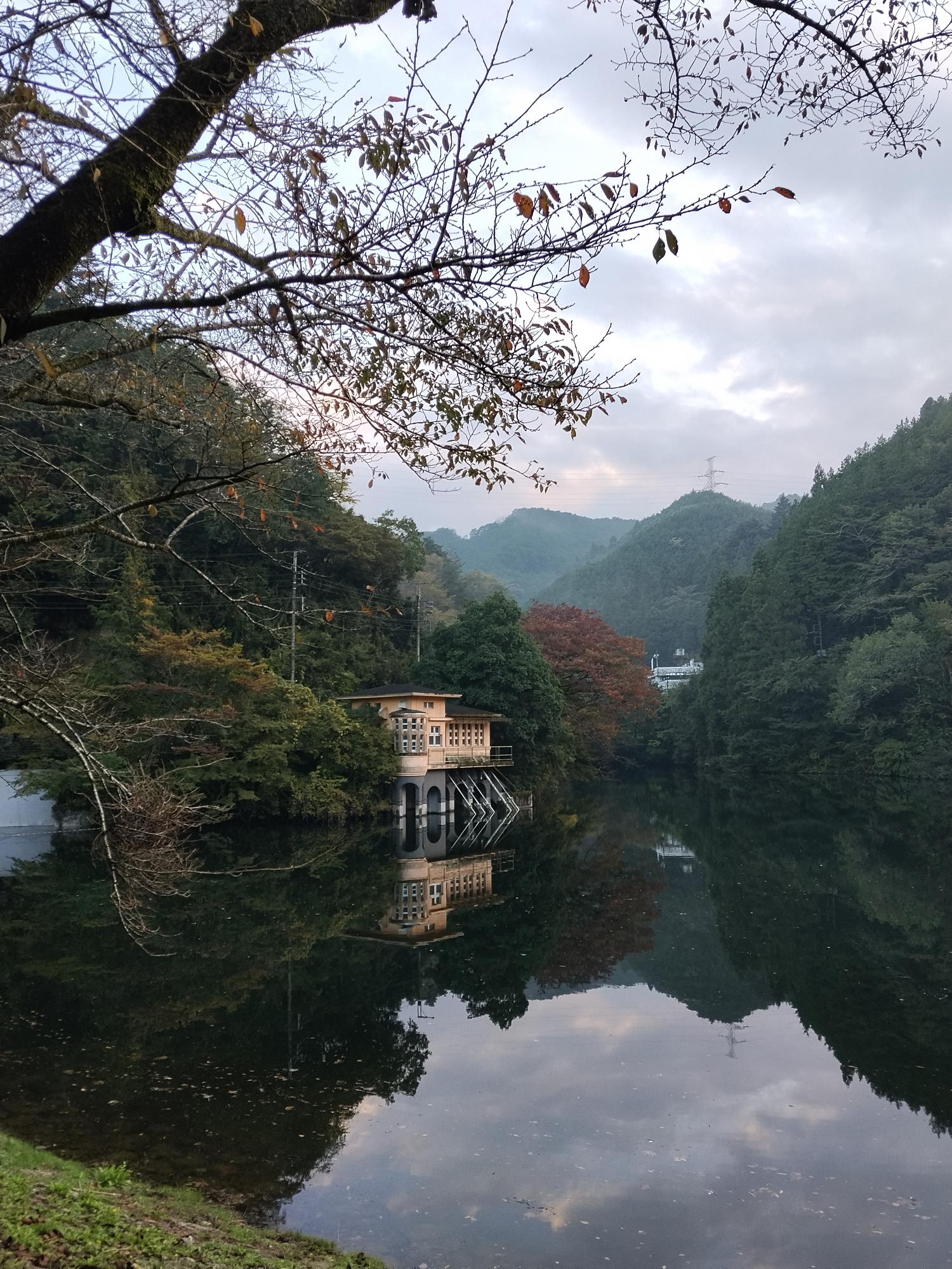 令和8年10月27日鎌北湖の紅葉状況