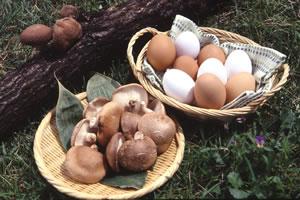 2つの竹ザルに肉厚な椎茸と白卵と赤卵が盛ってある写真