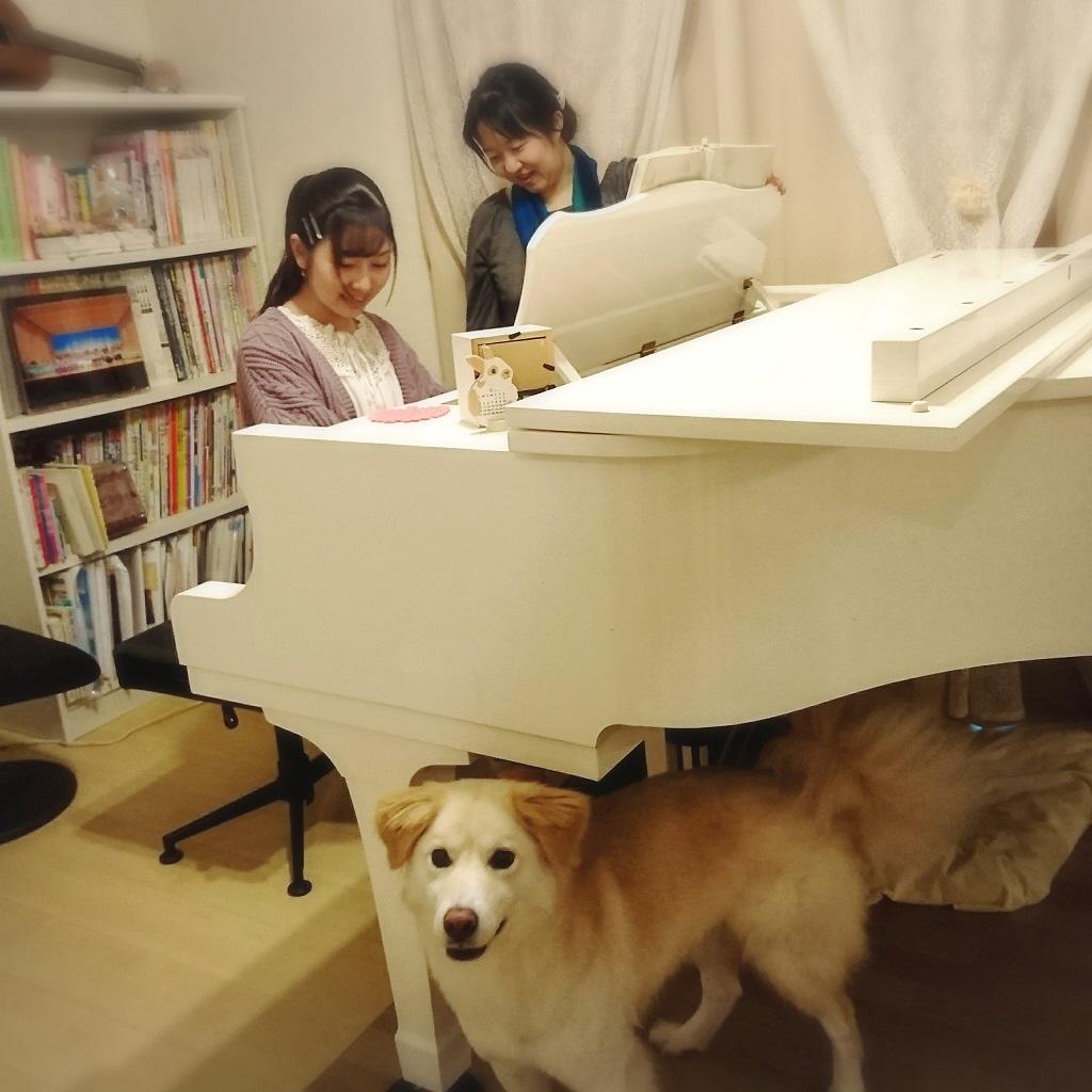 女の子がピアノを弾いている様子を先生が見ており、そのピアノの下には犬がいる写真