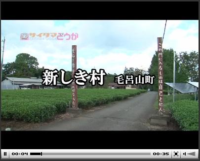 サイタマどうが 新しき村 毛呂山町の文字と茶畑や建物の動画配信の写真