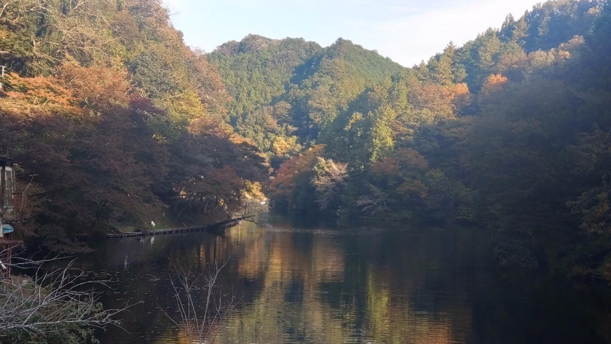 令和7年11月7日鎌北湖の紅葉状況2