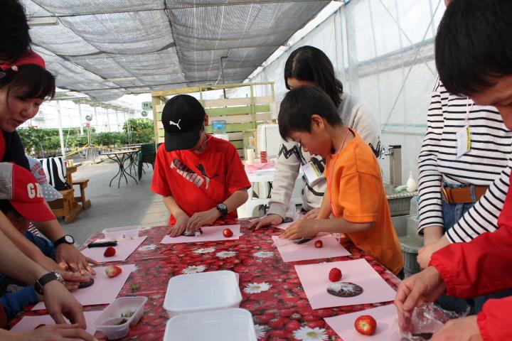 イチゴ畑の中の屋根付きの作業スペースで、テーブルを囲みイチゴを使ってスイーツを作っている子供たちの写真