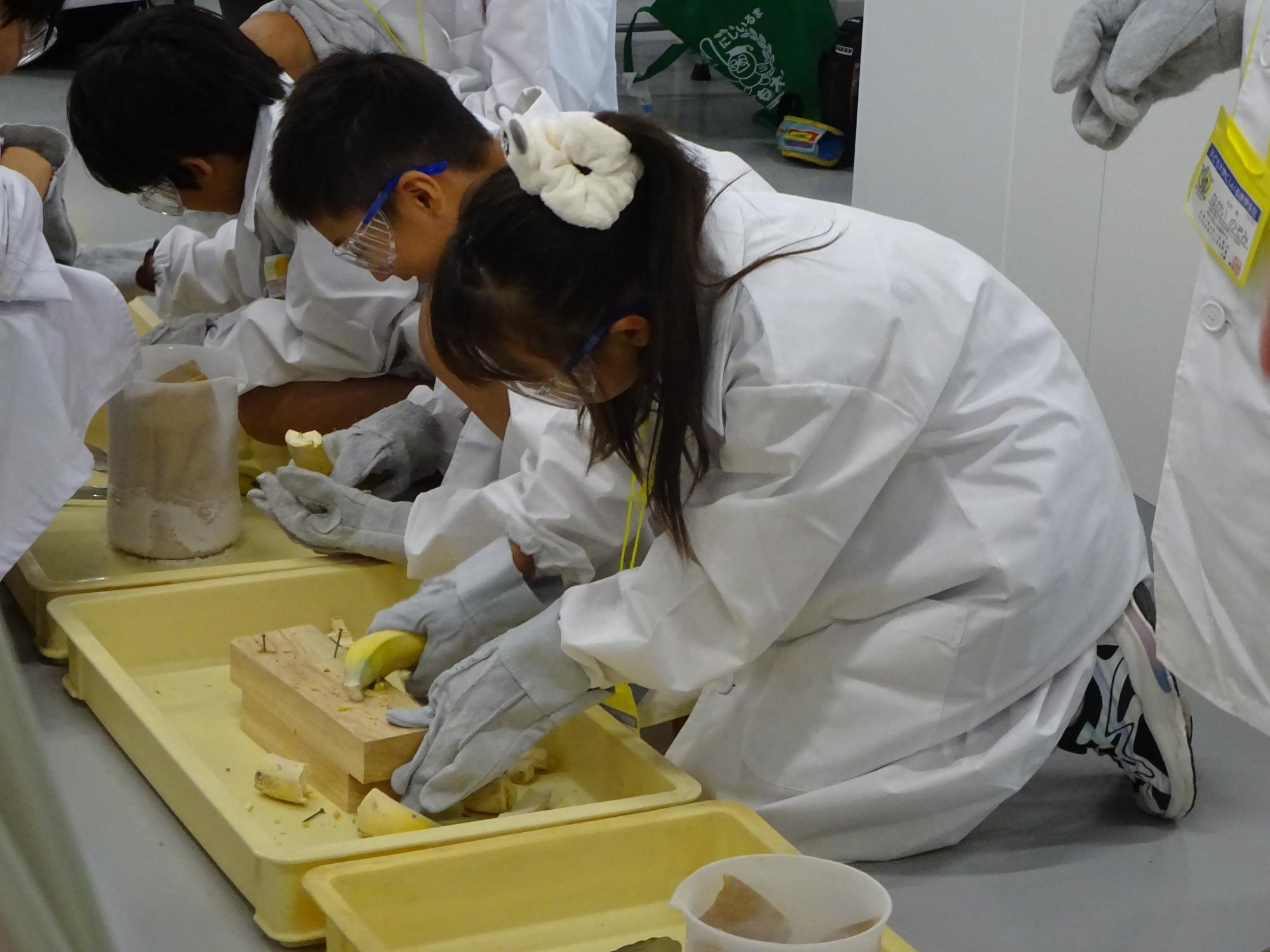 子ども大学にしいるま1