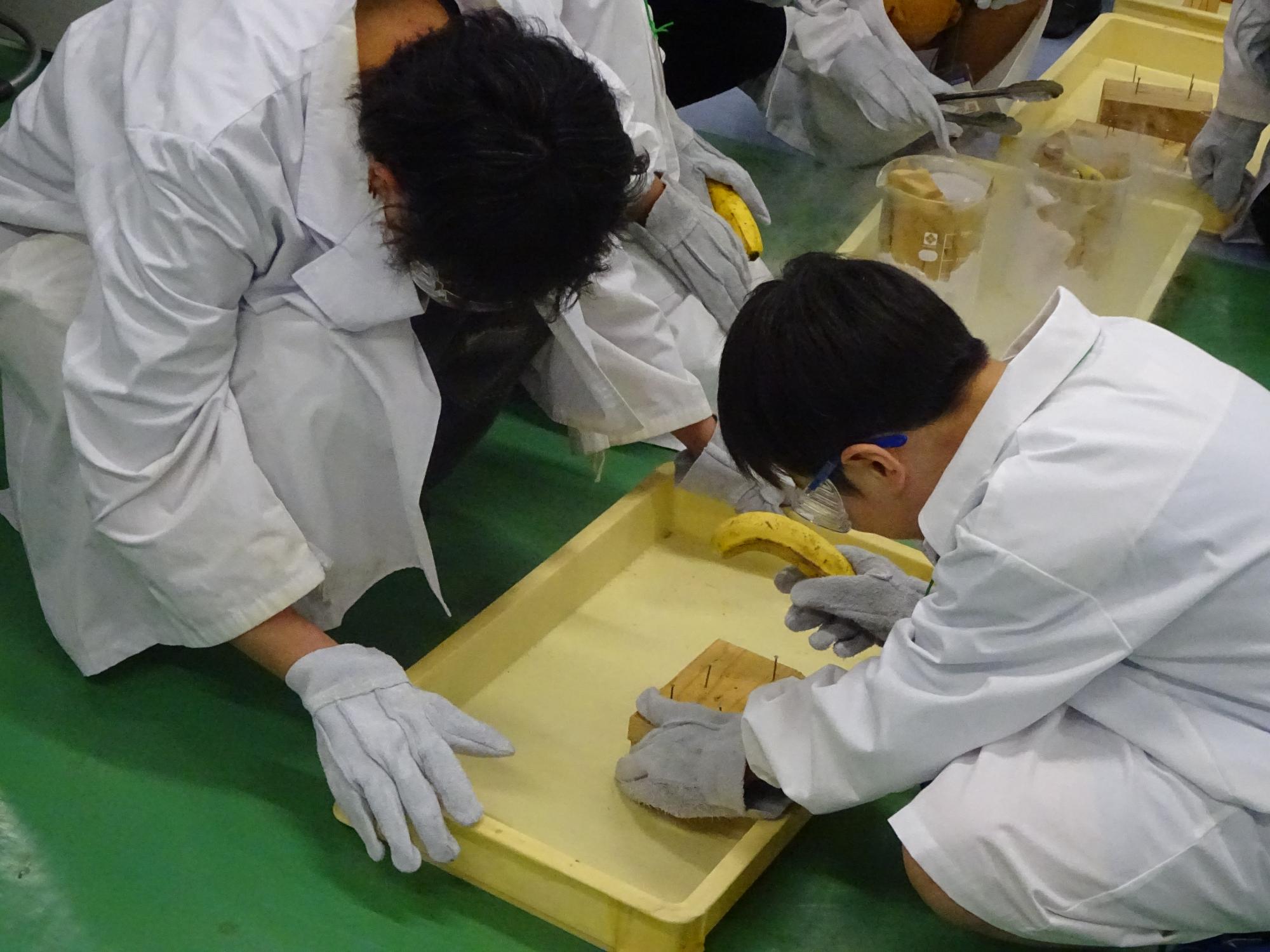 子ども大学にしいるま2-2