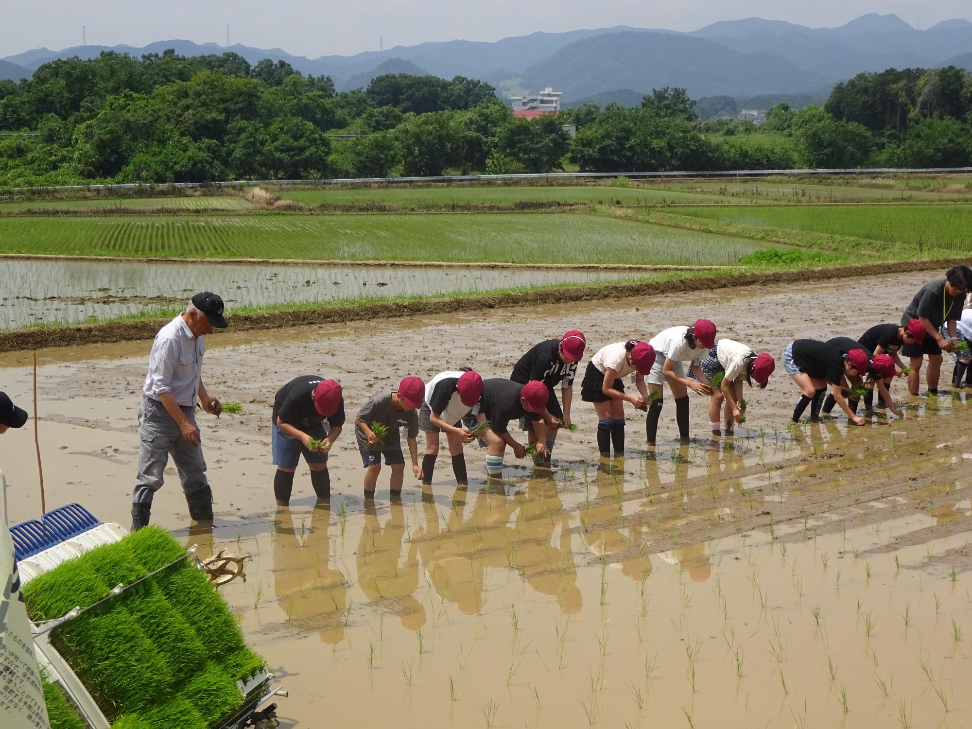 taue5