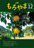 広報もろやま平成28年12月号表紙