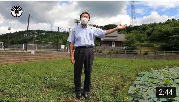 古代蓮の開花状況をお知らせします