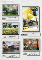 広報もろやま3月号P3