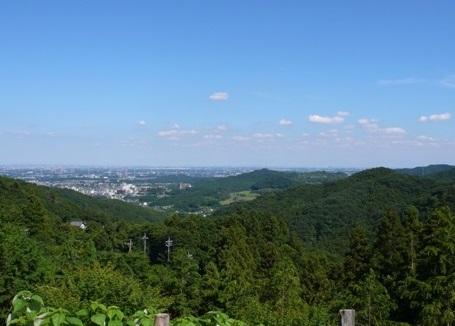桂木展望台から見える、緑と青空広がる街並みの写真