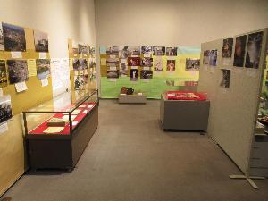 2025企画展展示風景