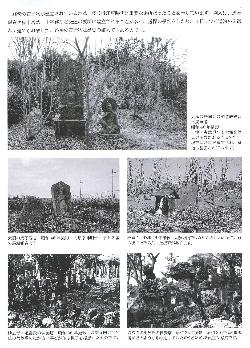 昭和30年代の文化財
