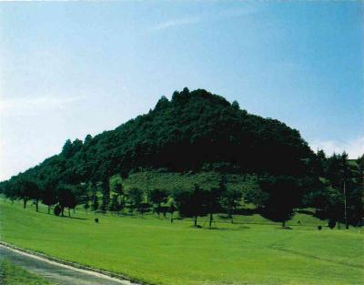 青空の下、緑に囲まれた竜ヶ谷山城の写真