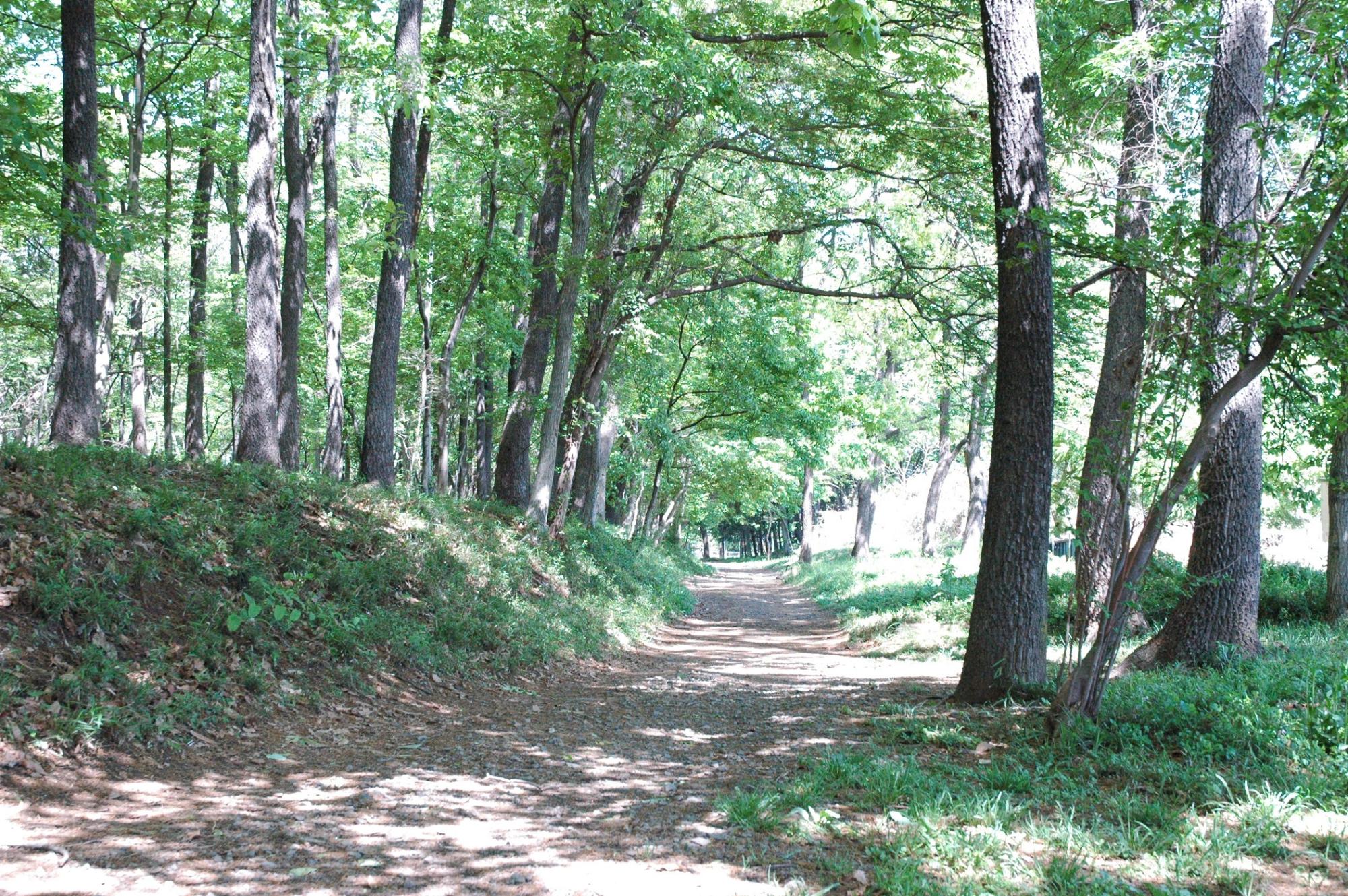 鎌倉街道B遺跡 川角・大類の掘割遺構