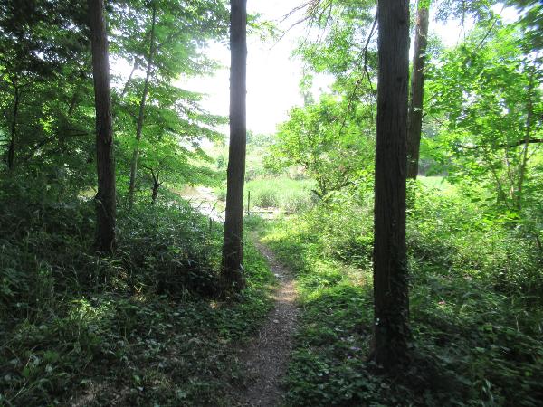 鎌倉街道から越辺川へむかう道