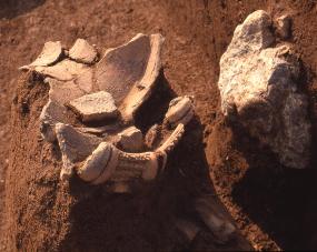 金谷遺跡縄文土器出土