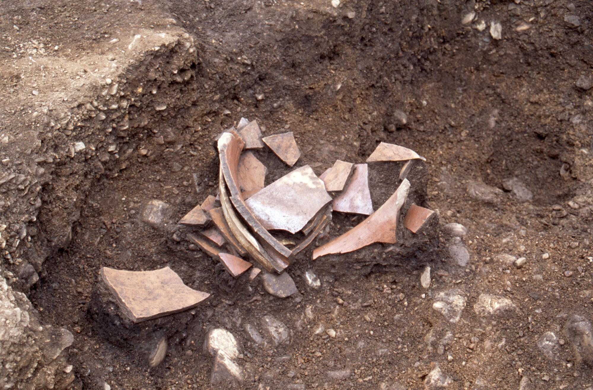 出土した常滑焼きの大瓶