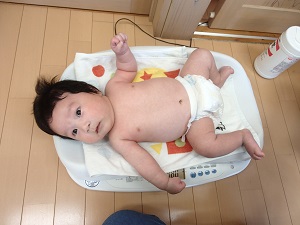 体重測定中のオムツ姿の赤ちゃん