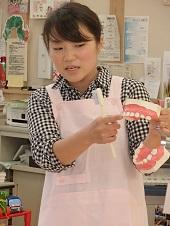 歯科衛生士さんが、大きな歯の模型と歯ブラシを持って、歯の磨き方の説明をしている写真