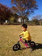 小さなピンク色の自転車にまたがった男の子が遊んでいる写真