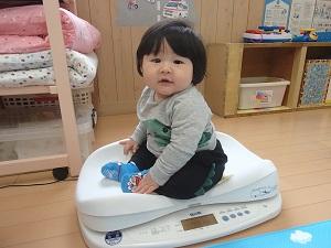 体重計に座りカメラ目線の赤ちゃんの写真