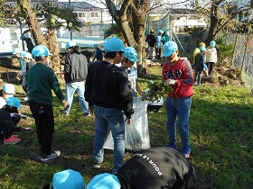 除草朝会1