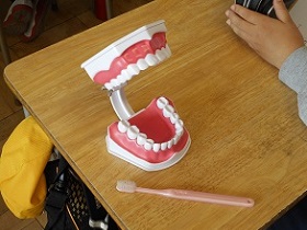 歯科保健活動2
