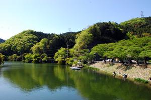 青空と、湖の周りの緑の木々が湖の水面に写っている写真