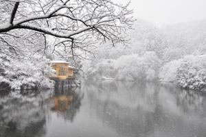 雪で白くなった湖の周りの木々が水面に写っている写真