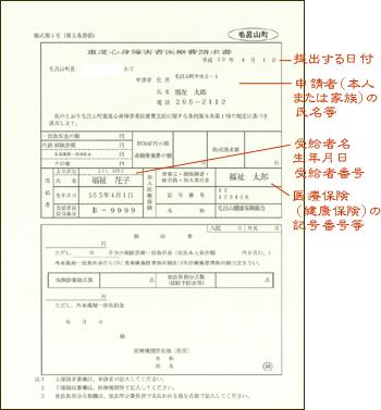 重度心身障害者医療費請求書記入例(国民健康保険・社会保険用)